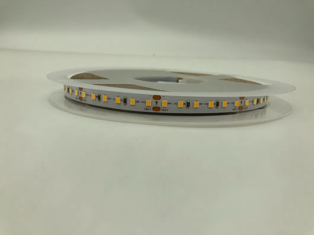 14.4W DC 24V 10mm 120LEDs Per Meter 2835 Warm White Nature White Cool White Decoration IP20 Non-Waterproof SMD Flexible LED Lighting Strip