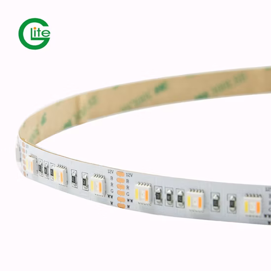 striscia luminosa a LED SMD5050 Rgbww 60LED DC24 di 3 anni di garanzia per la decorazione di illuminazione